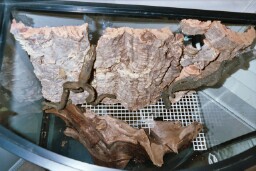 Hardscape Top view