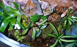 Top view of 29 Gal BowFront Finished