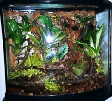 29 Gal BowFront Completed