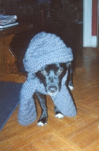 It's cold in here.