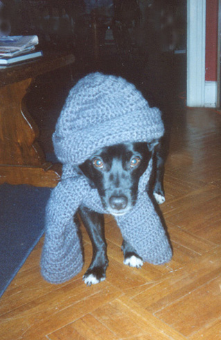 It's cold in here.