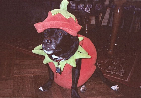 Halloween
