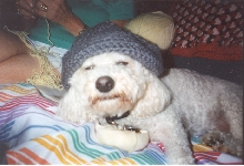 Rocco's High
