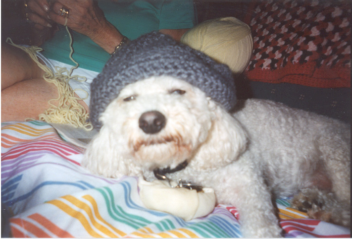 Rocco's High
