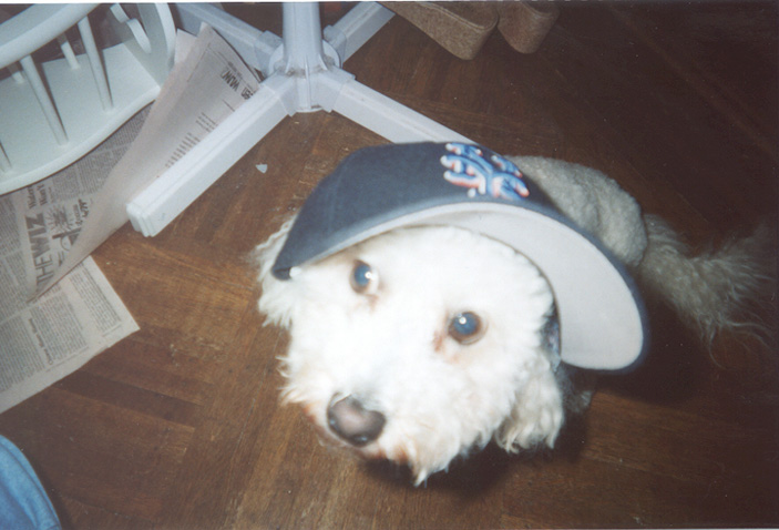 Let's Go Mets!