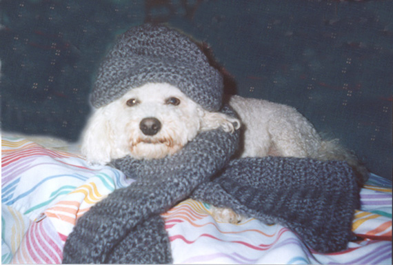 Rocco's Cold!