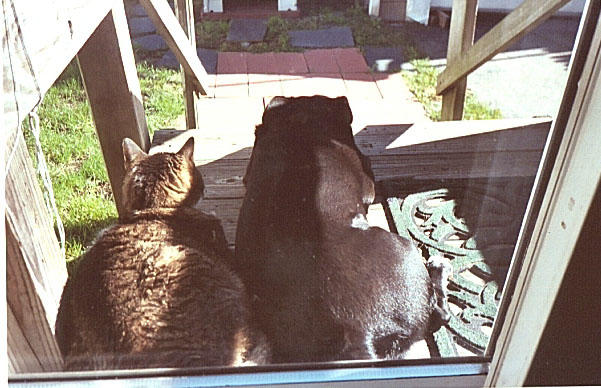 Best Friends side by side