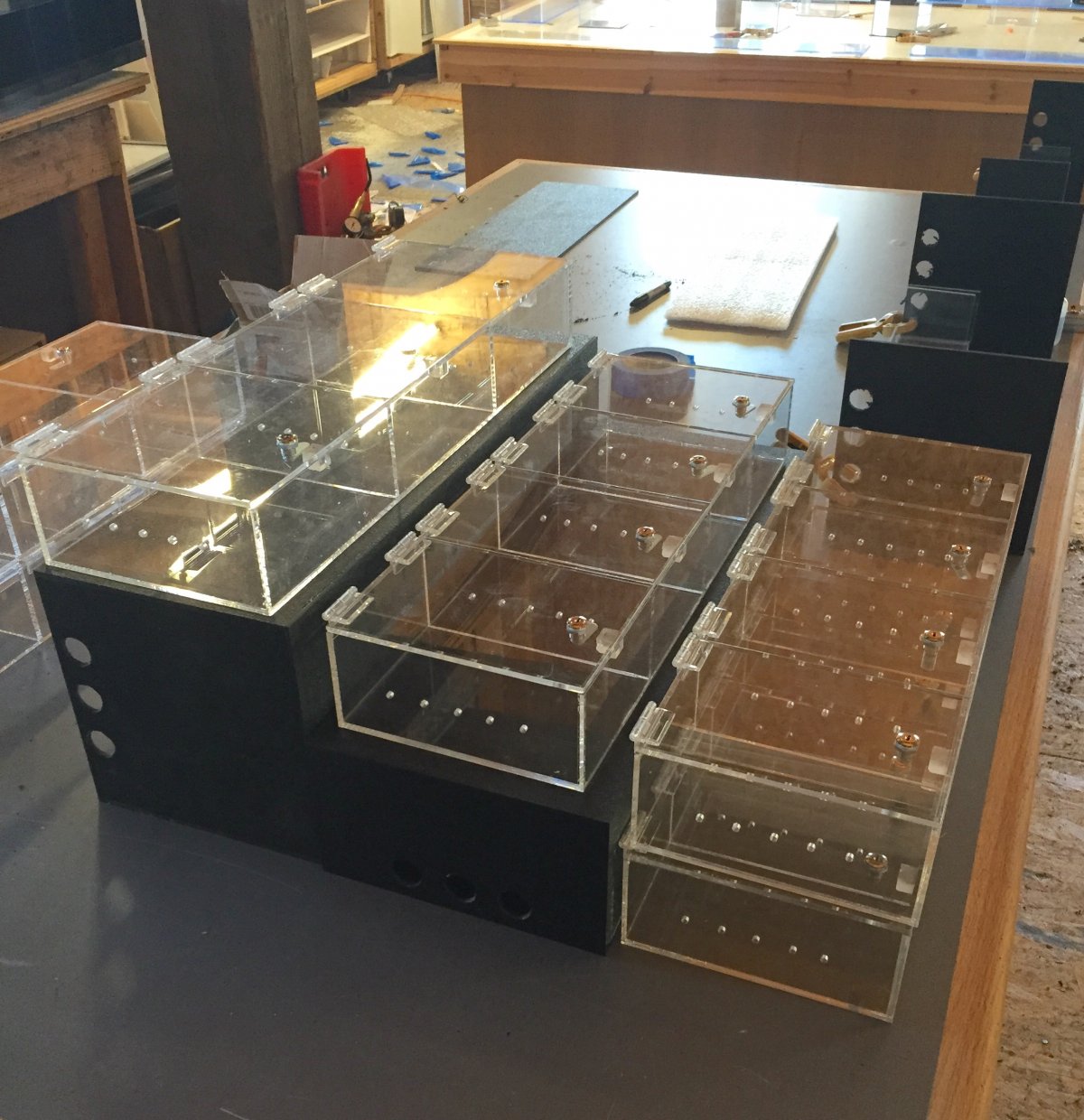 Clear Display Cage