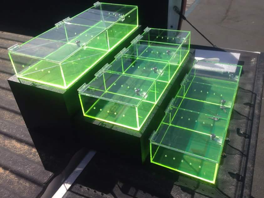 Green Display Cage