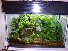 vivarium