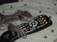 No only does my boyfriend steal the remote...