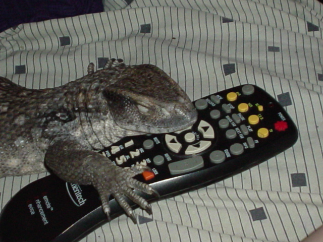 No only does my boyfriend steal the remote...