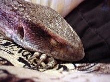 My sleepy baby