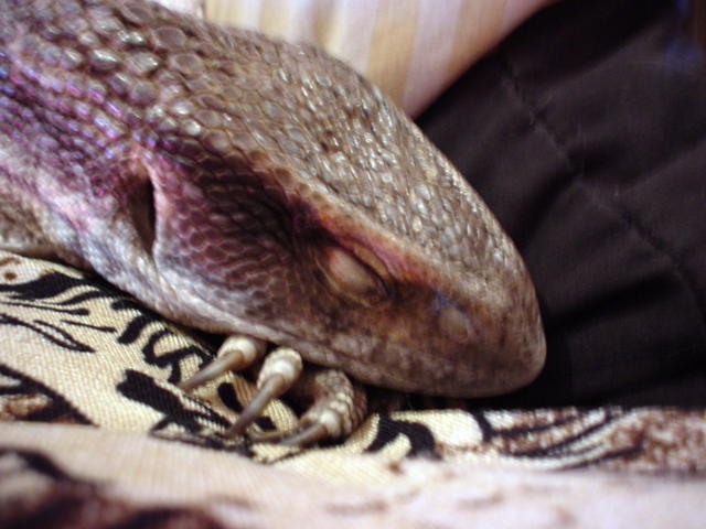 My sleepy baby