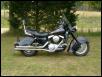 My hawg