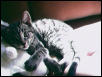 Smulan and my teddy
