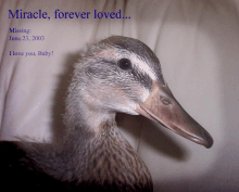 *~Miracle~*