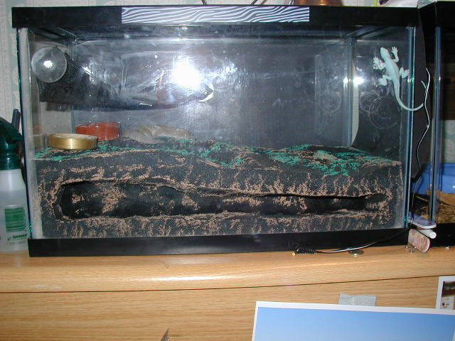 Harley's foamarium