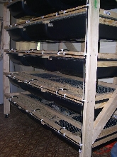 Rat Rack 2