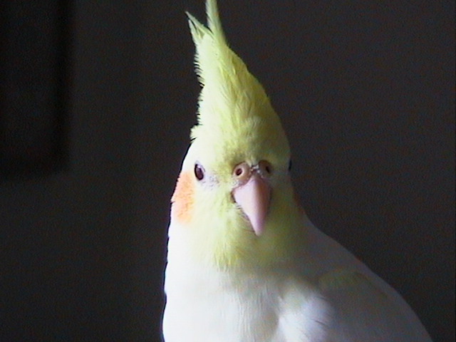 My Baby