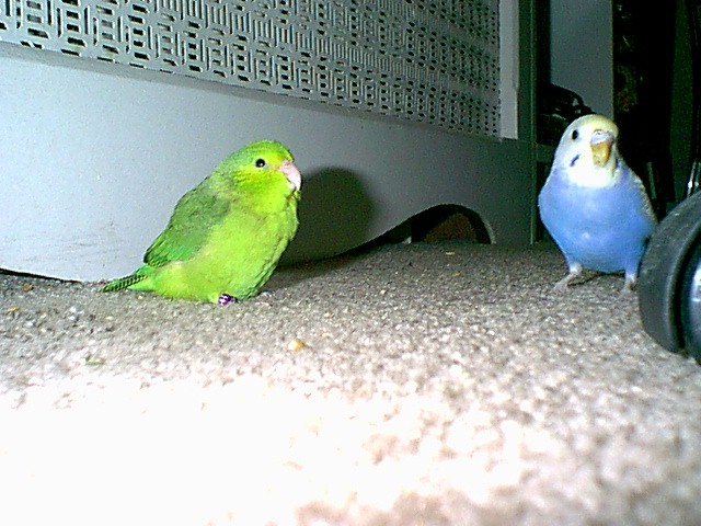 Friends