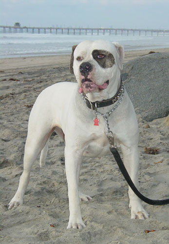 My big girl
