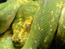 close up.
