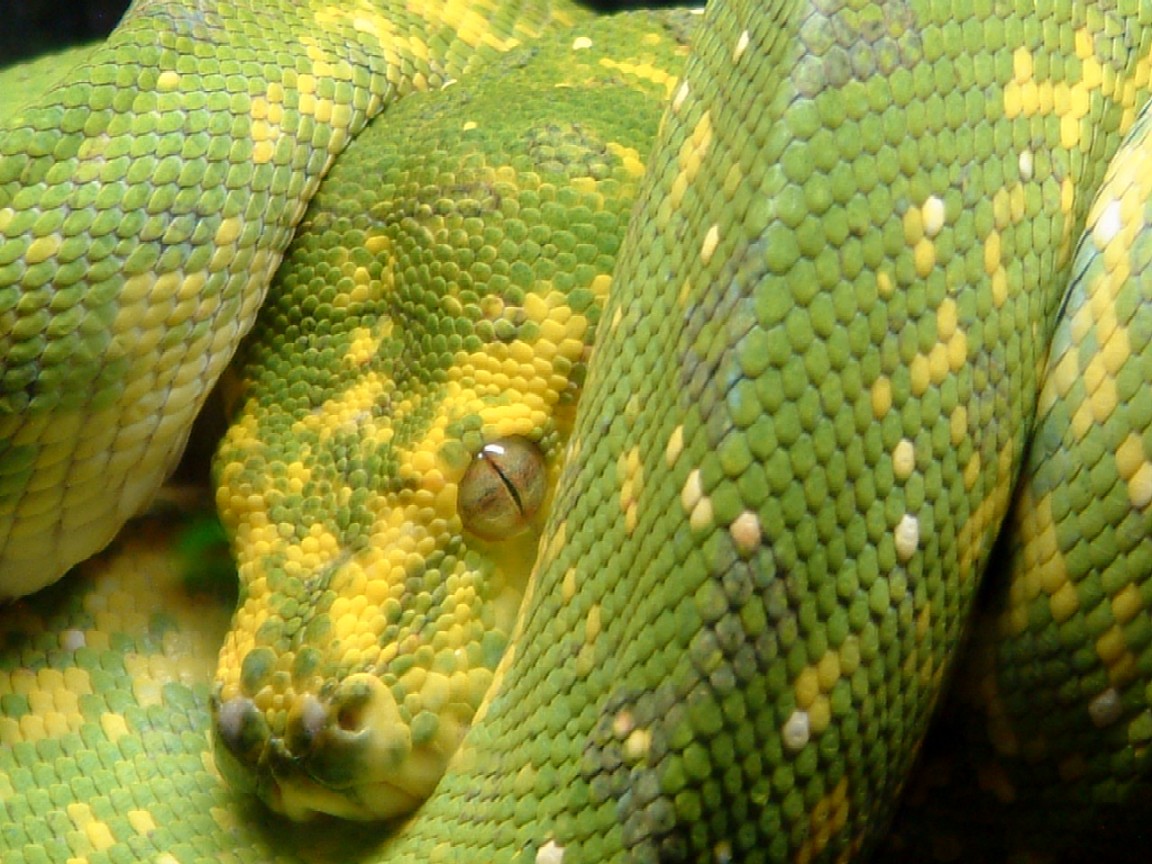 close up.