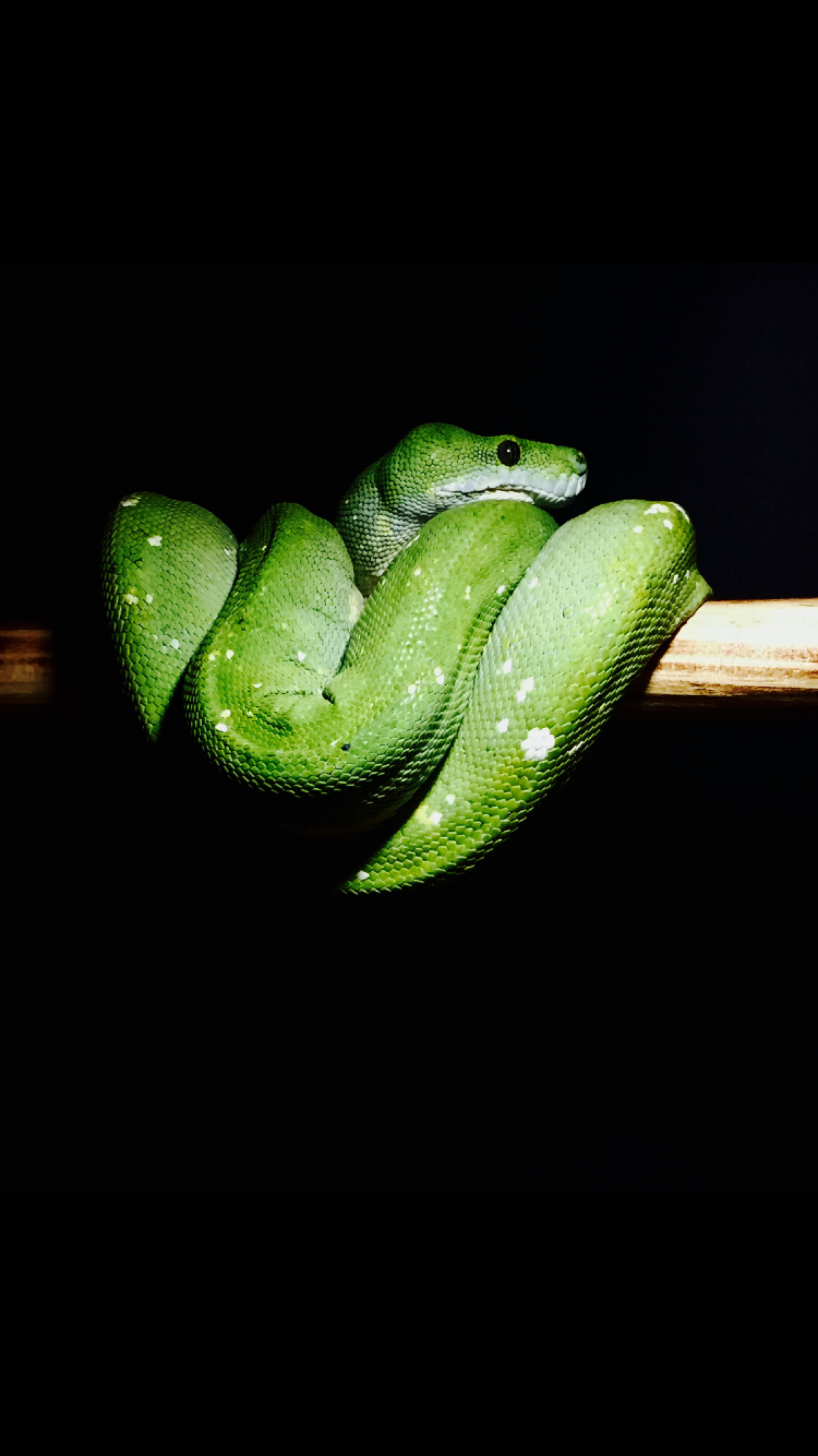 GTP - SEATTLE18