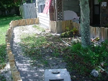 tortoise pen