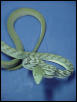 Asian Vine Snake (Ahaetulla prasina)