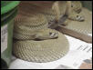 Patternless Western Diamondback