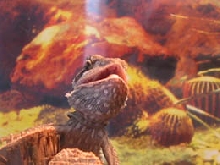 Max Gaping