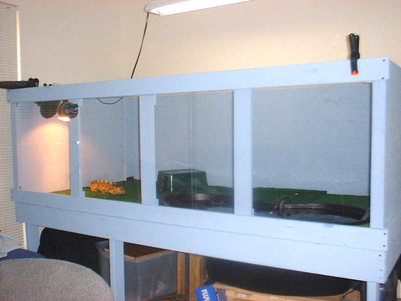 New croc Tank #2