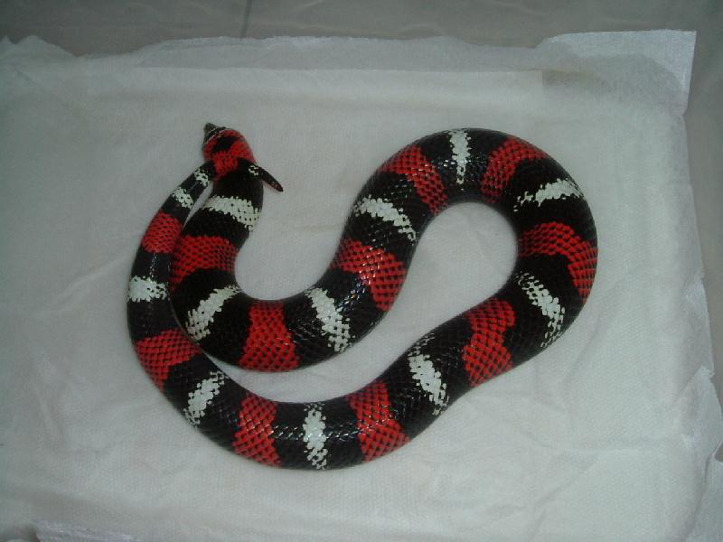 big tri-hog after shed