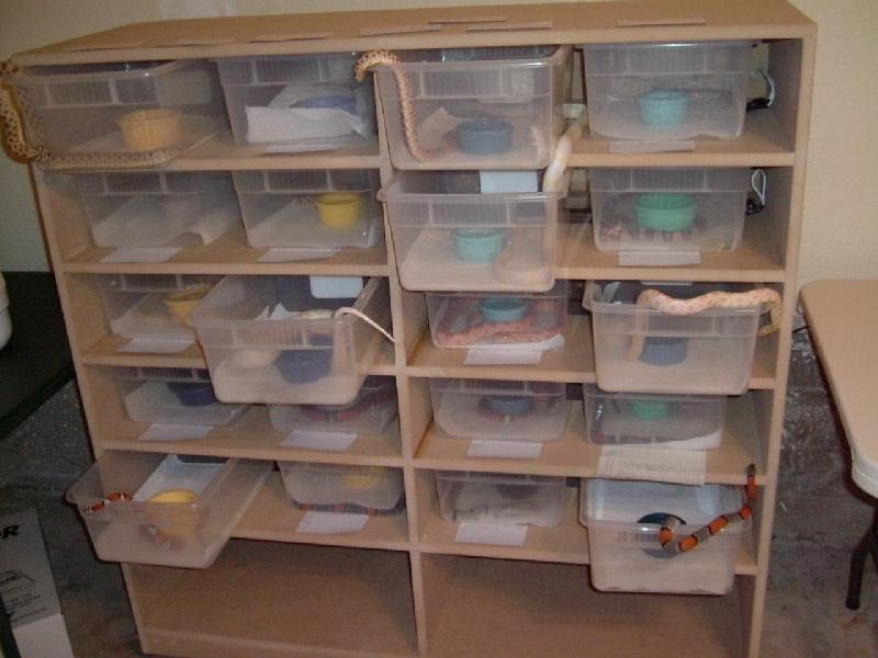 snake rack