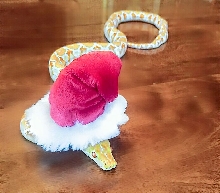 Happy holidays from Mango!
