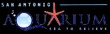 San Antonio Aquarium - Things To Do With Family In San Antonio
