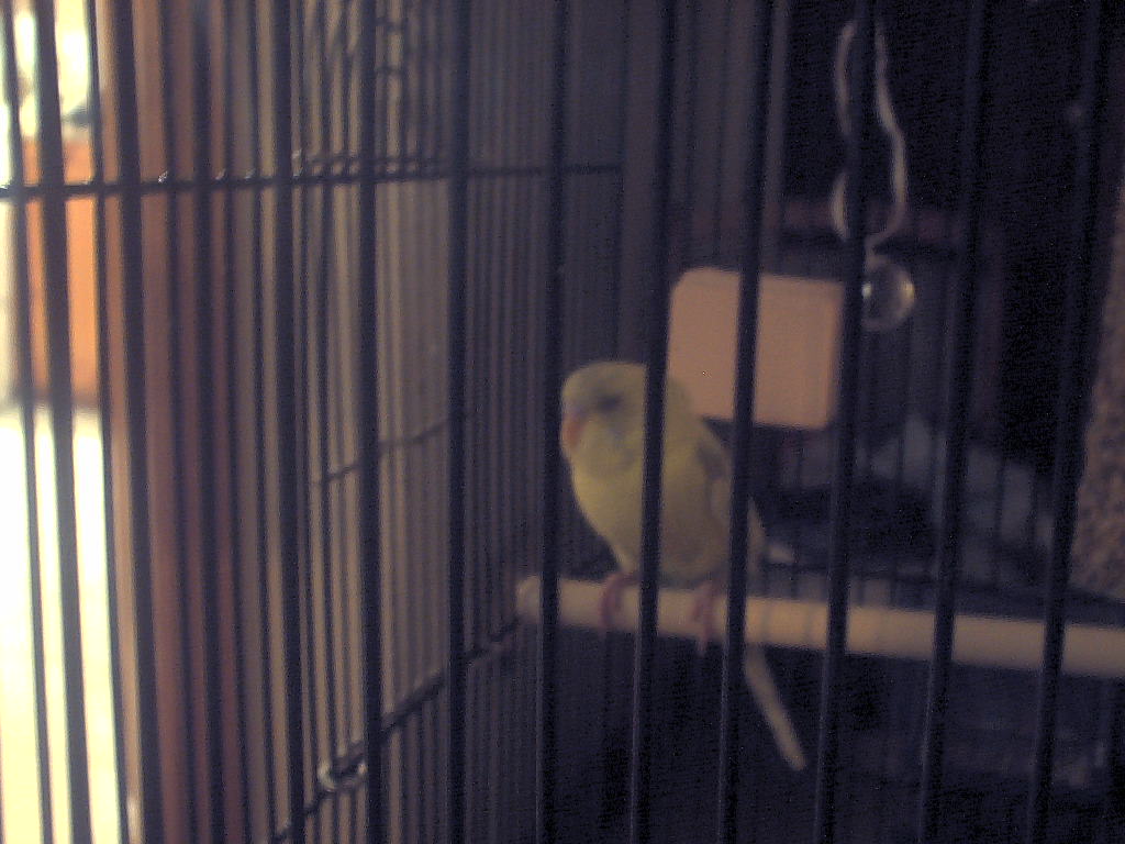 Here is our new baby Lucky