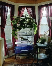 Bud's House 2