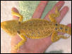 high color female