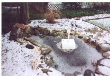 pond in winter 2001 / 2002