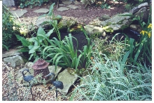 Pond in spring - 2002