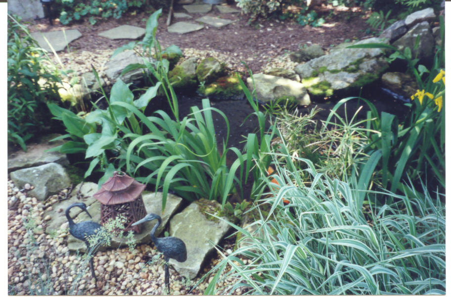 Pond in spring - 2002