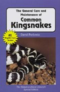 kingsnake