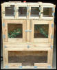 cage1