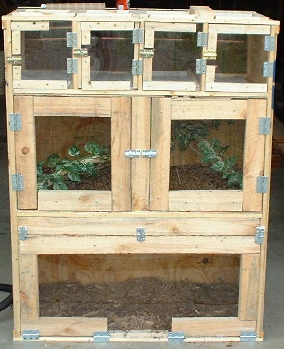 cage1