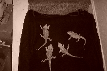 4 Dragons - Sepia