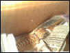 Yukoom's first picture