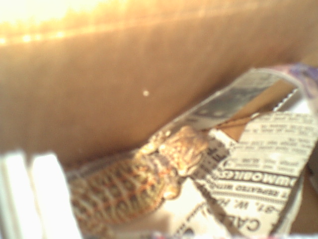 Yukoom's first picture